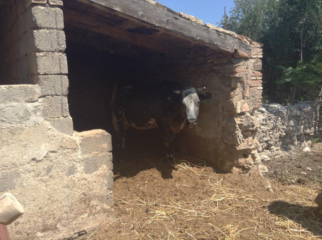 Antico Frantoio Villa Cerchiara di Calabria Exteriör bild